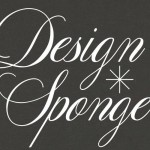 Design Sponge logo