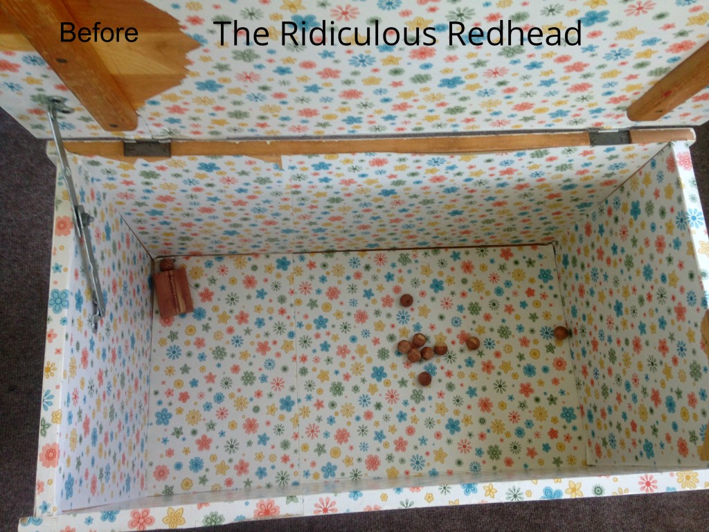 Ridiculous Redhead Toy Chest Inside Before